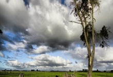 竞技宝官网：CBA常规赛收官战硝烟散尽，季后赛对阵全面揭晓.