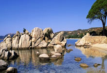 竞技宝官网：美利达亮相全新电辅车引领骑行新潮流.